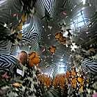 Butterfly Explosion in Warehouse
