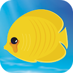 Deep Fishing Kingdom Apk