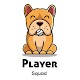 Download Player Squad For PC Windows and Mac