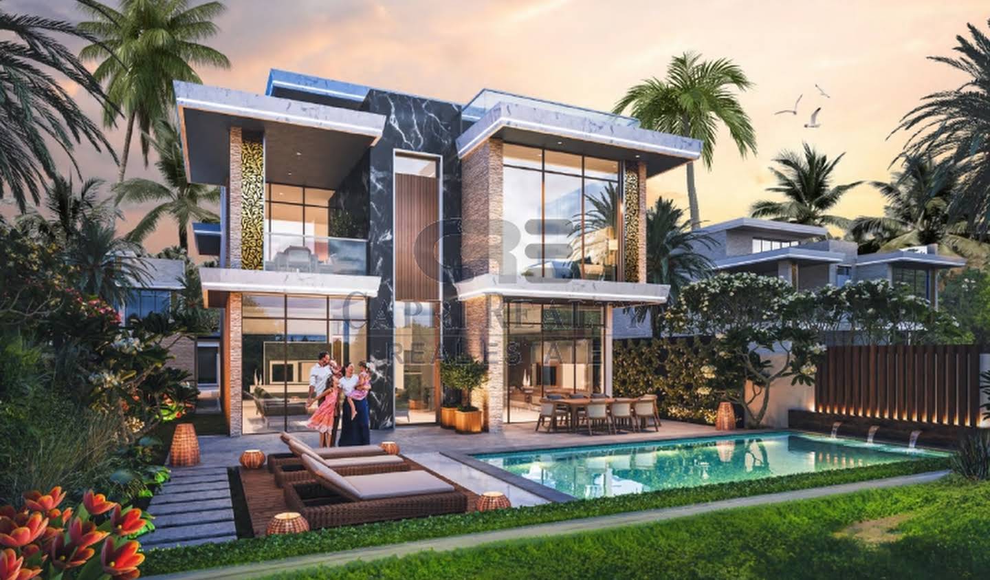 Villa with pool Dubai