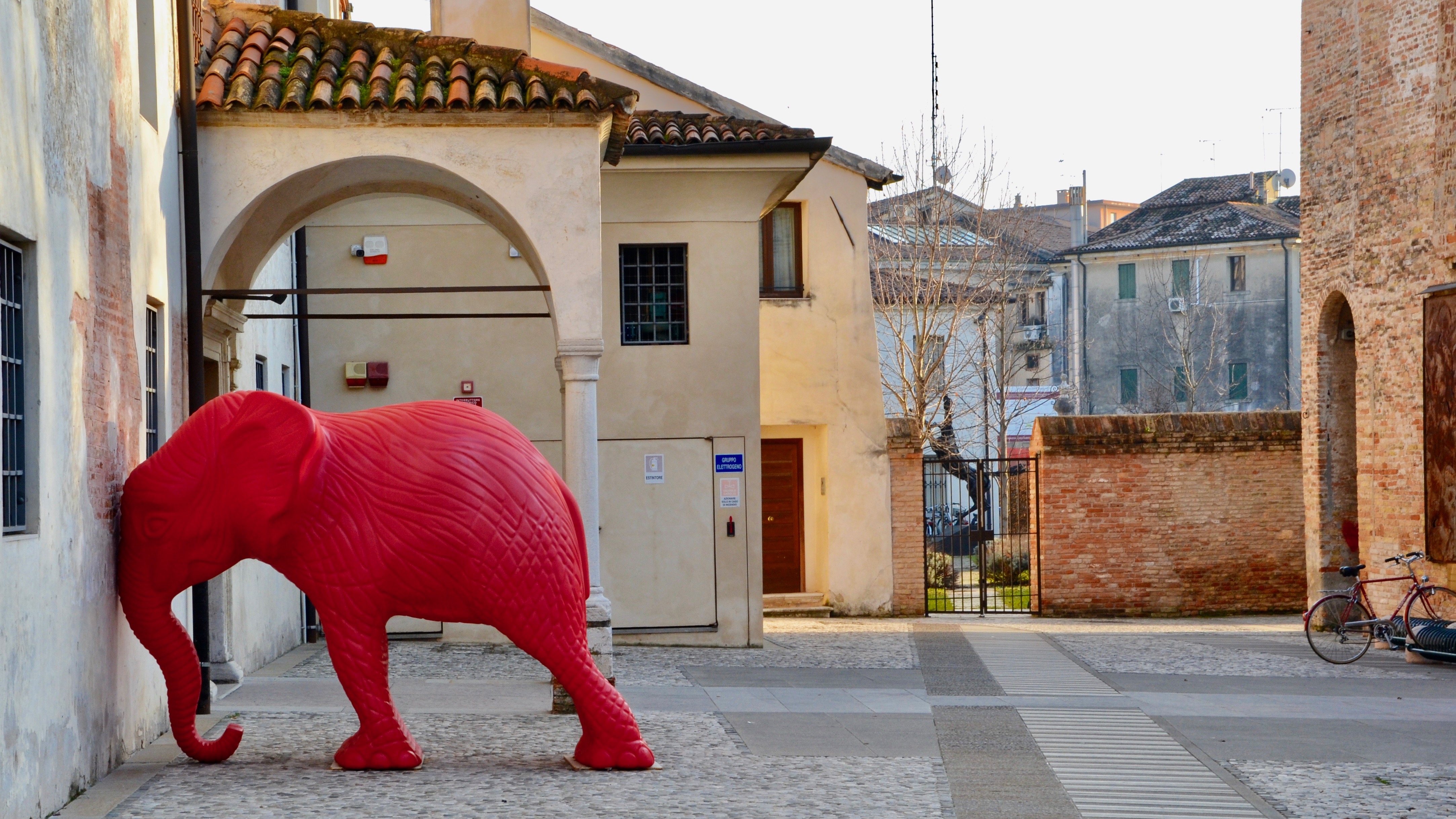 Elephant Red di giuseppedangelo