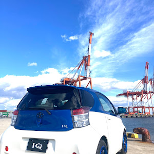 iQ NGJ10