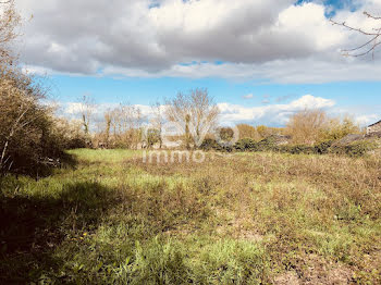 terrain à Juigné-Sur-Loire (49)