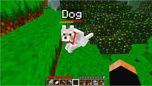 Pets Minecraft Ideas