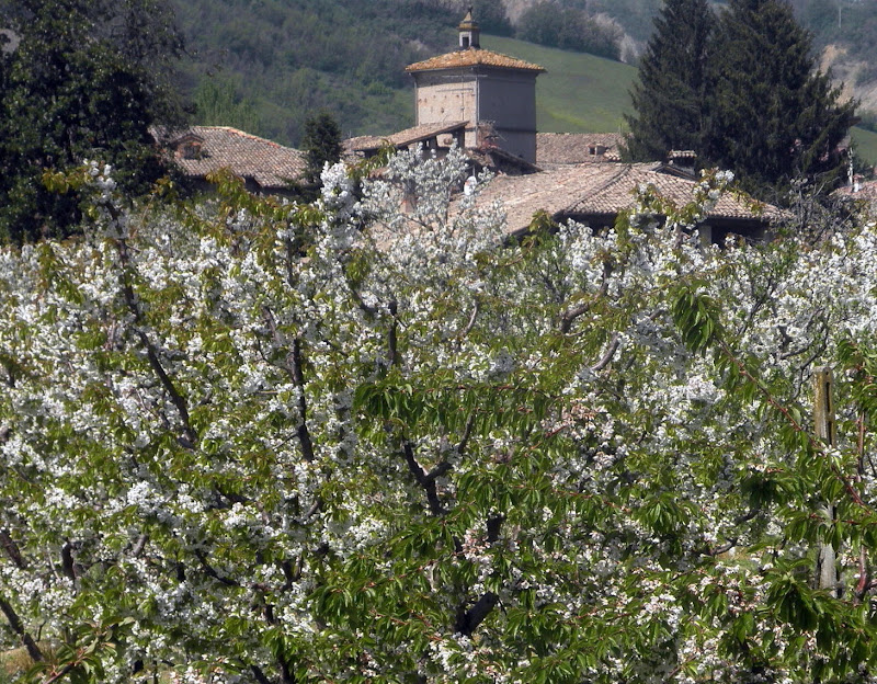 Primavera nel borgo di paolo-spagg