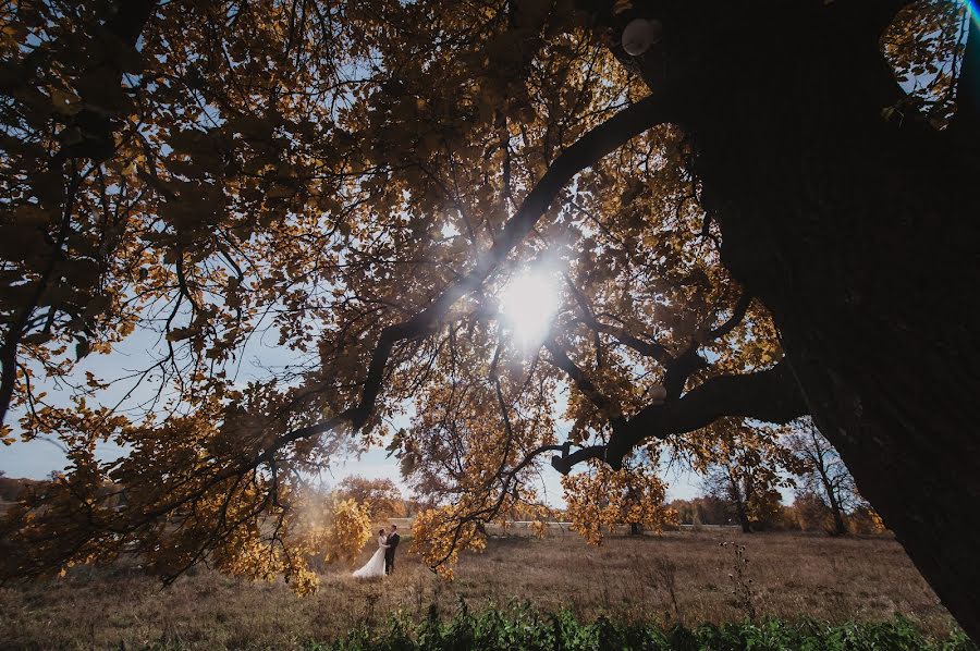 Bryllupsfotograf Ilnar Minachev (minachev). Bilde av 9 desember 2019