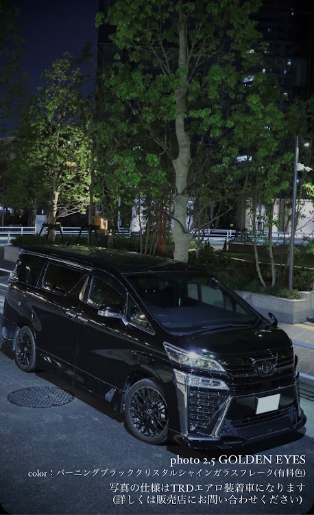 ヴェルファイアの緑と愛車・レインボーブリッジ・イタリア街・東京都庁・スカイツリーに関するカスタム事例の投稿画像2枚目