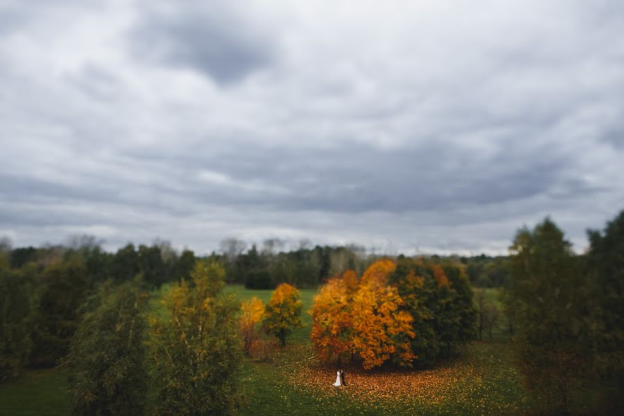 Fotógrafo de bodas Aleksey Malyshev (malexei). Foto del 28 de septiembre 2013