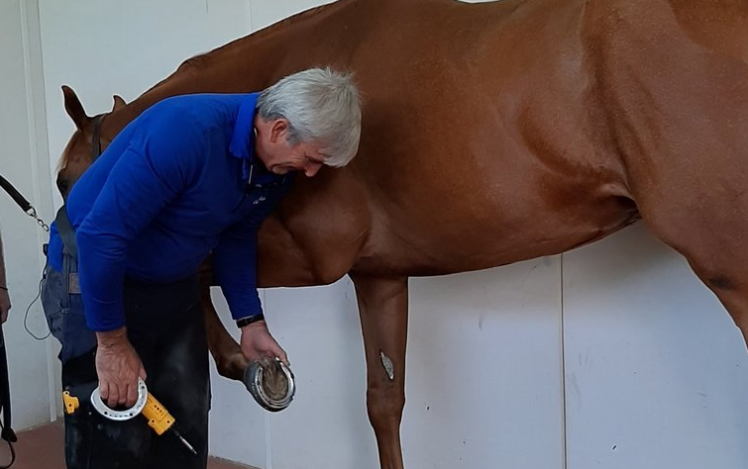 Derek Poupard working on classy Godolphin sprinter On The Warpath. Photo: Laura King