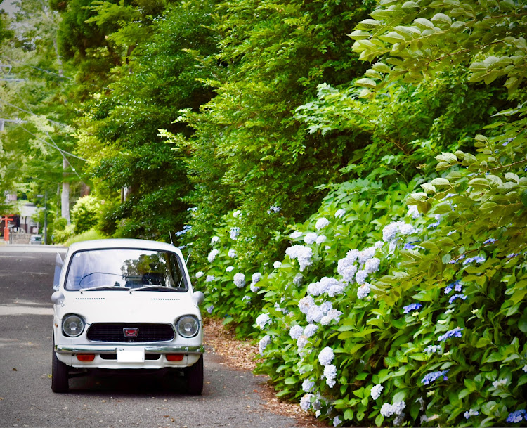 N360のNコロ・紫陽花に関するカスタム事例の投稿画像1枚目