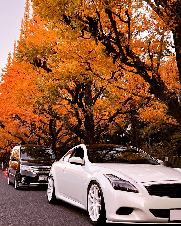 セレナの早朝カメ活・外苑いちょう並木・2023ベストショット11月・セレナ愛好会・C26 SERENA OWNERS CLUBに関するカスタム事例の投稿画像5枚目