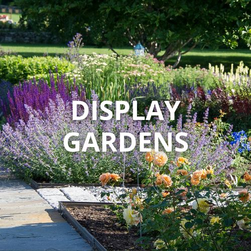 Display Gardens