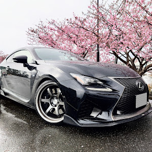 RC F USC10