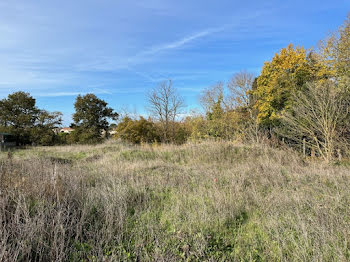 terrain à Labastide-d'Anjou (11)