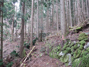 石垣（人家跡？）