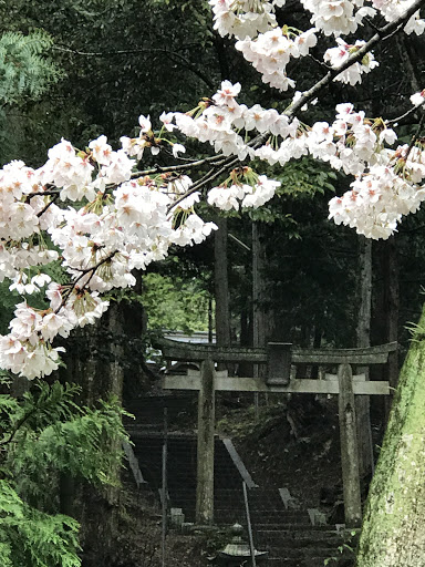 産霊七社神社 鳥居