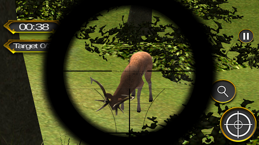 叢林動物狩獵2016年3D