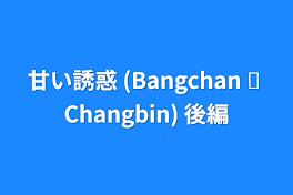 甘い誘惑  (Bangchan ✘ Changbin) 後編