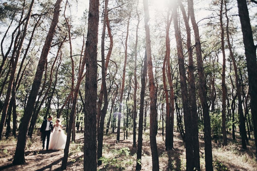 Wedding photographer Denis Polulyakh (poluliakh). Photo of 21 January 2016