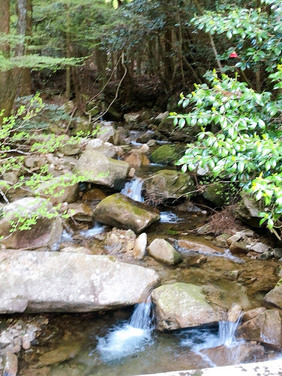 カムリの山道・心霊スポット・トンネル撮影・廃随道・南原随道に関するカスタム事例の投稿画像8枚目