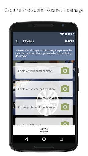 Ridgeway Cosmetic Repair
