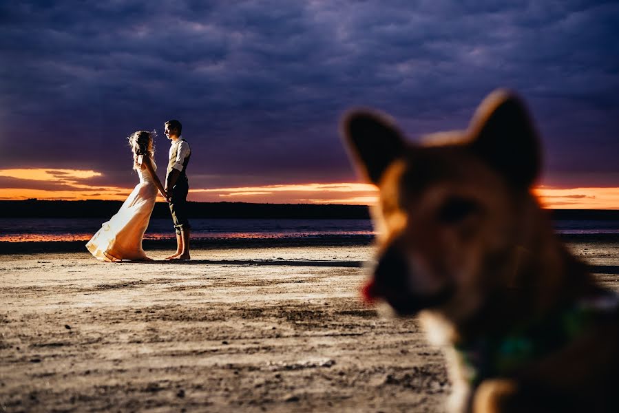 Fotógrafo de casamento Dima Karpenko (dimakarpenko). Foto de 22 de agosto 2019