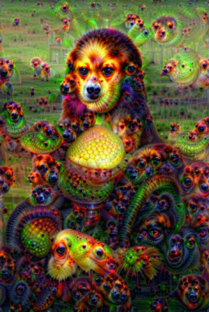 deep dream