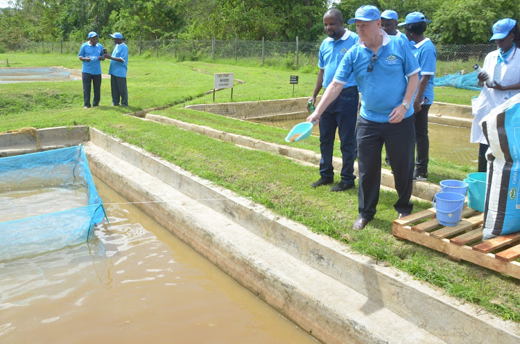 High cost of feed crippling fish farming in Kenya