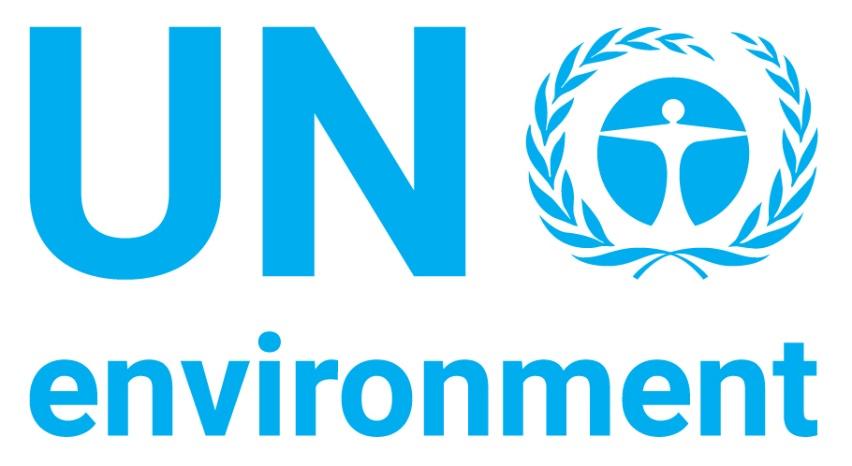 Image result for un environment