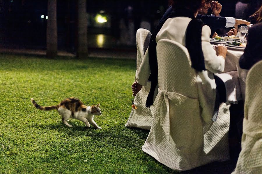 Wedding photographer Andrey Nastasenko (flamingo). Photo of 17 December 2013