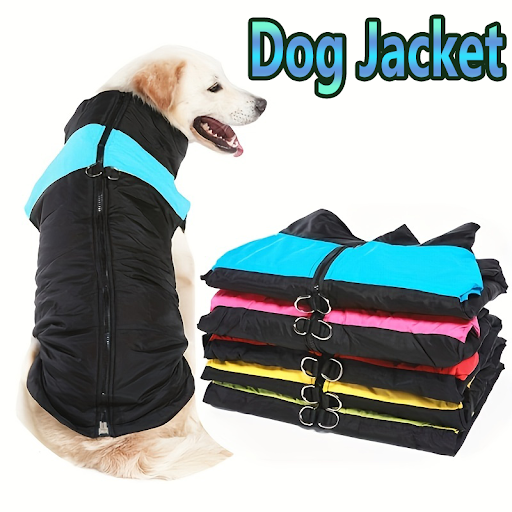 images slider number - 5