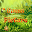 Guess Picture Download on Windows