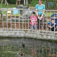 台灣水牛城