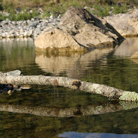 Specchio d' acqua di 