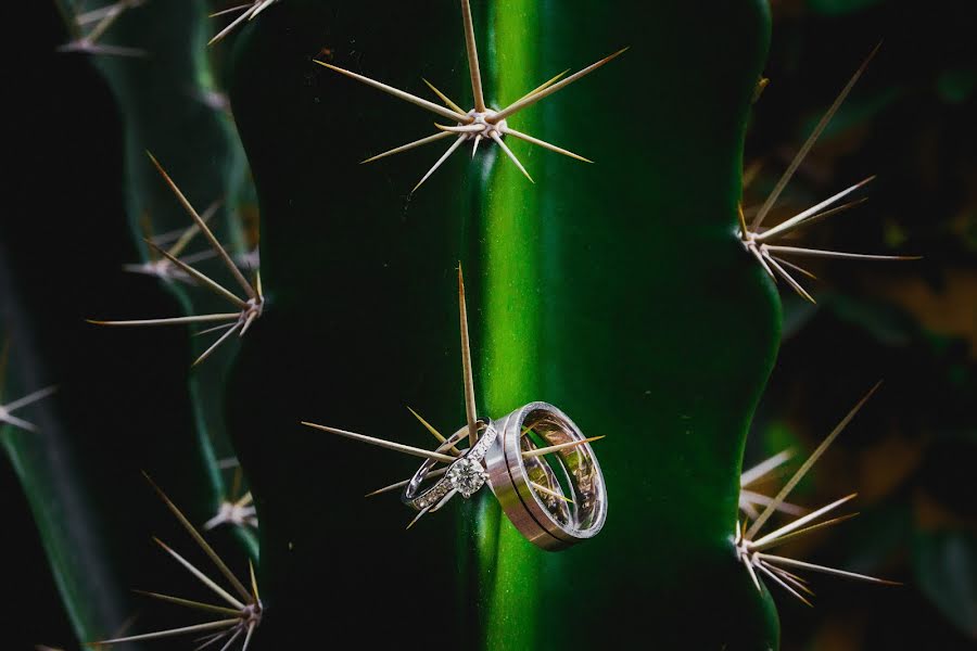 Fotografo di matrimoni Mayra Rodriguez (rodrguez). Foto del 6 novembre 2015