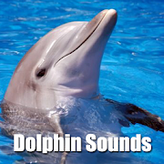 Dolphin Sounds  Icon