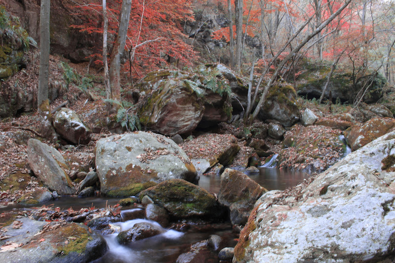 scorre il tempo assieme al torrente di STUDIO M2