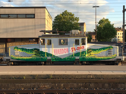 Crocodile Train !