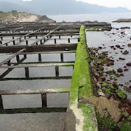 東北角海洋牧場