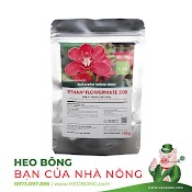 Phân Thông Minh Rynan 200 (Túi Lưới 180G) - Mọc Mầm - Tốt Lá