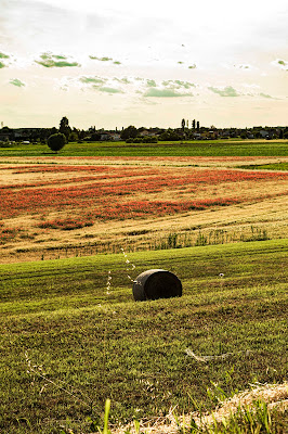 Campagna veronese di ABSTRACT