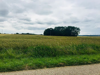 terrain à Rurange-lès-Thionville (57)