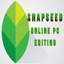 Snapseed Online PC - Photo Editing Chrome extension download