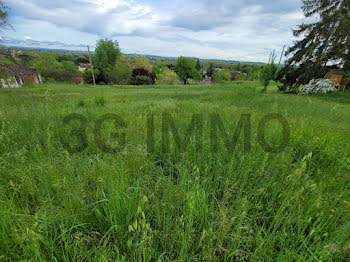 terrain à Albi (81)