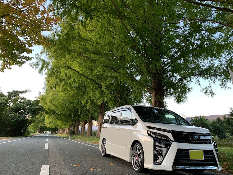 ヴォクシーのメタセコイア並木・愛車・お気に入り写真・見てくれている皆様に感謝・イイネ100超えたい！に関するカスタム事例の投稿画像1枚目