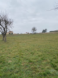 terrain à Monistrol-sur-Loire (43)