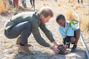 Britain's Prince Harry helps a local schoolboy plant a tree at the Chobe National Park in Botswana, on day four of the royal tour of Africa, on September 26 2019. 