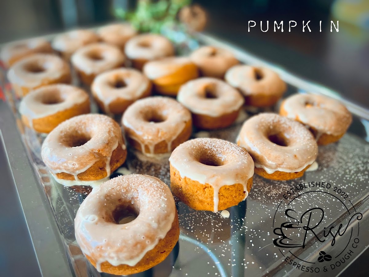 Pumpkin Donuts