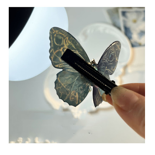 Title 3, Retro Three-dimensional Black Butterfly Polariz...