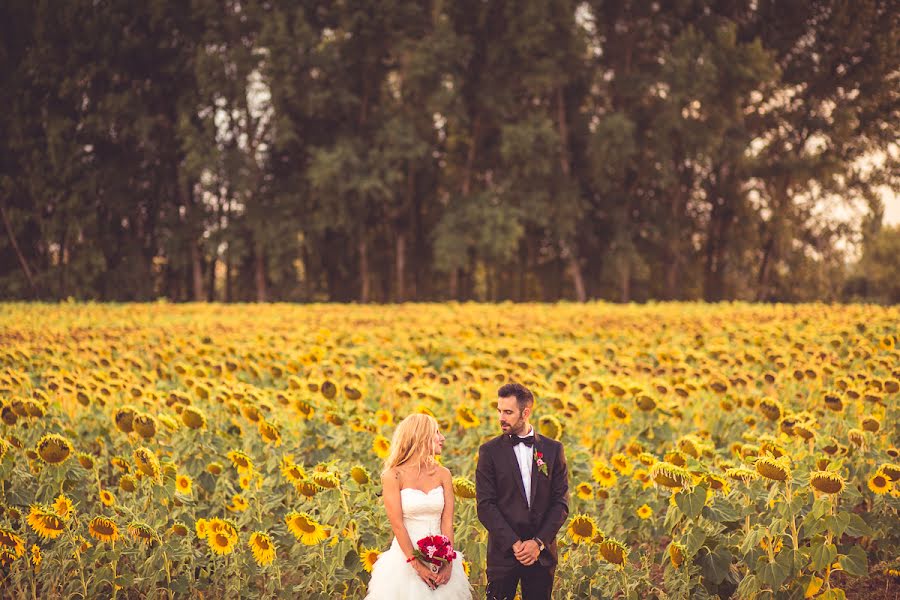 Wedding photographer Vicente Alfonso (vicentealfonso). Photo of 14 January 2016